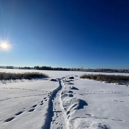 Mäeküla Järve Palkmaja *