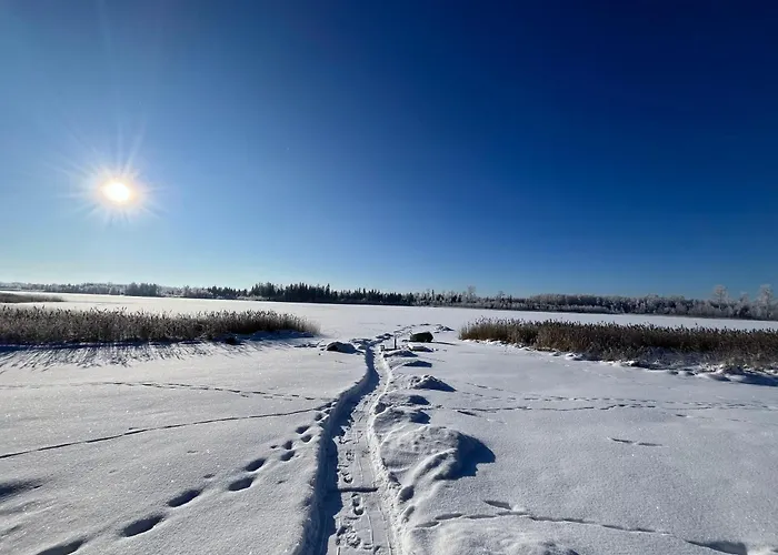 Maeekuela Jaerve Palkmaja *